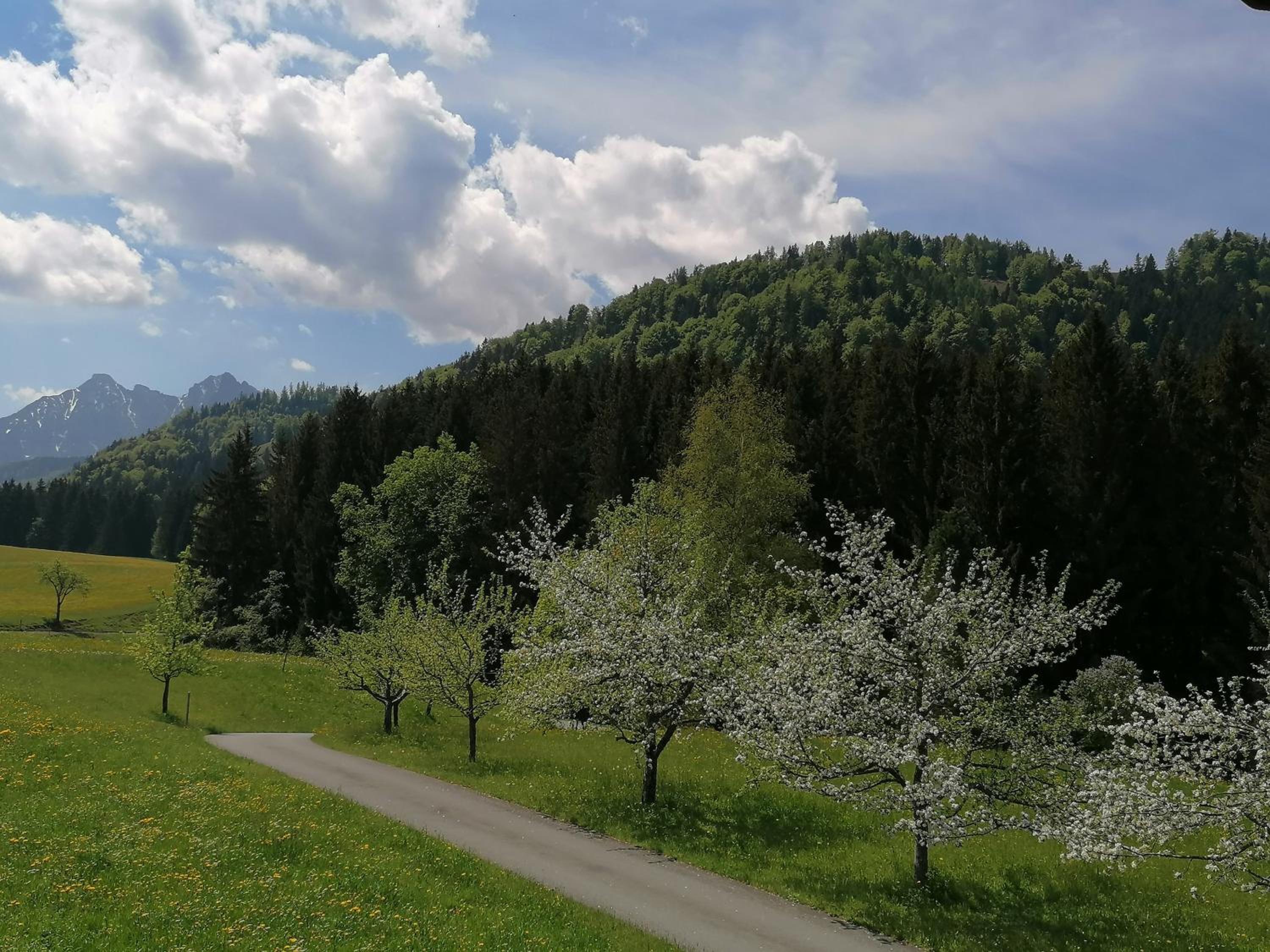 Ferienwohnung Bergblick