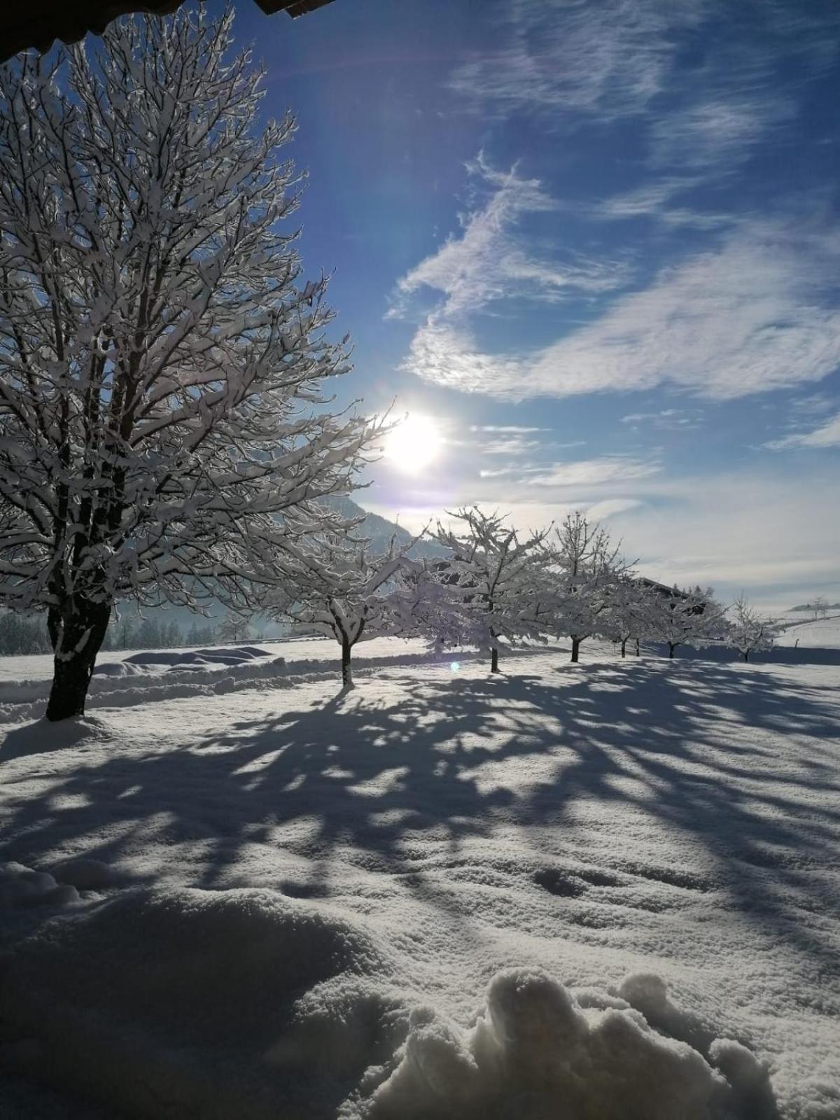 Ferienwohnung Bergblick