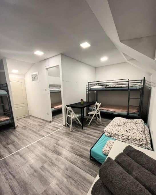 Stag & Party Travelers Flat view 4