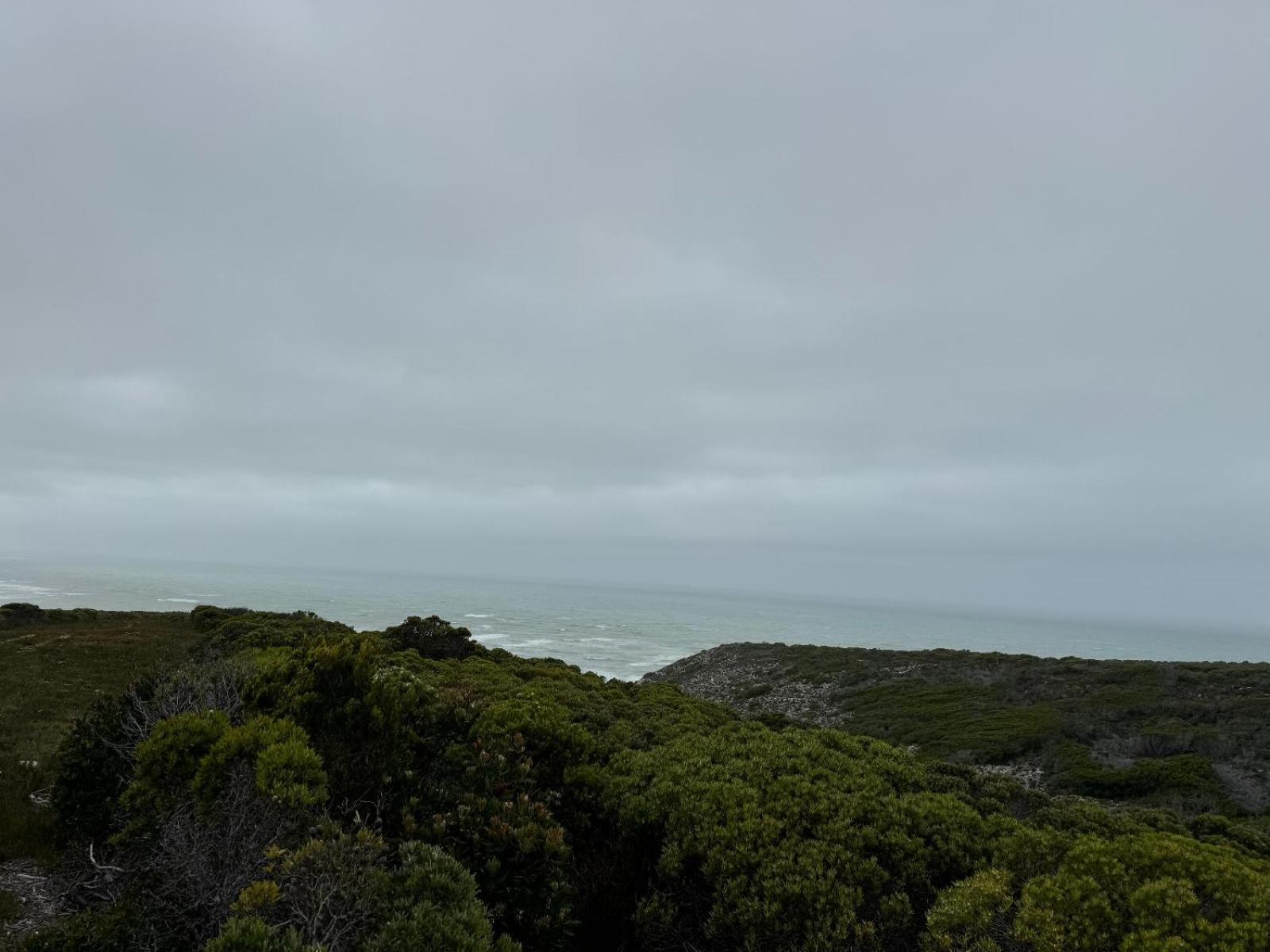 Protea32 view 3