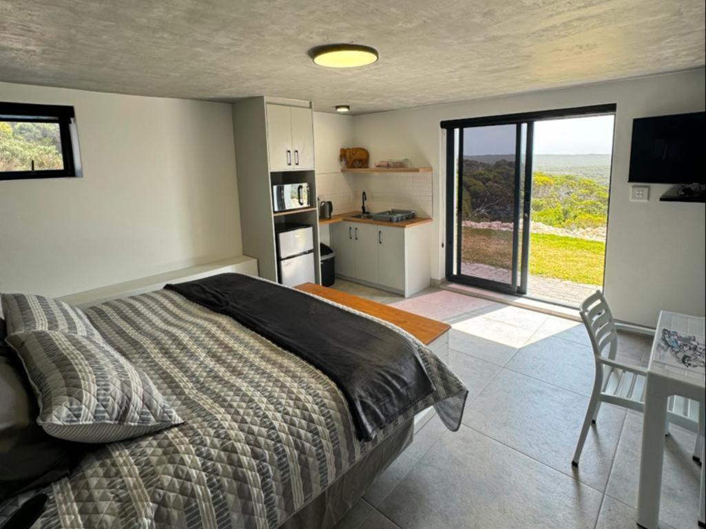 Protea32 view 4