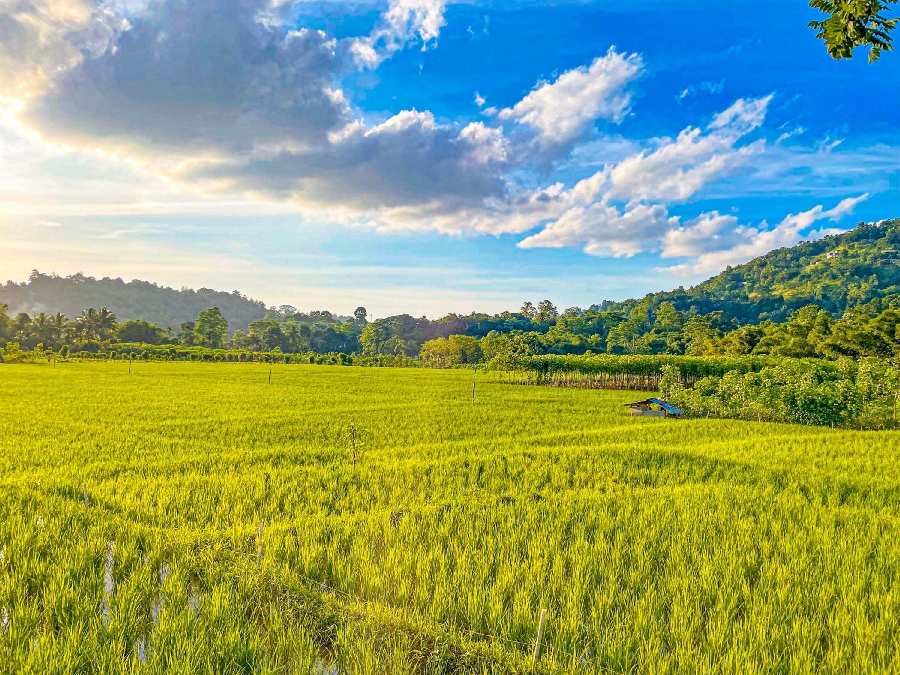 Swarg Villa view 3