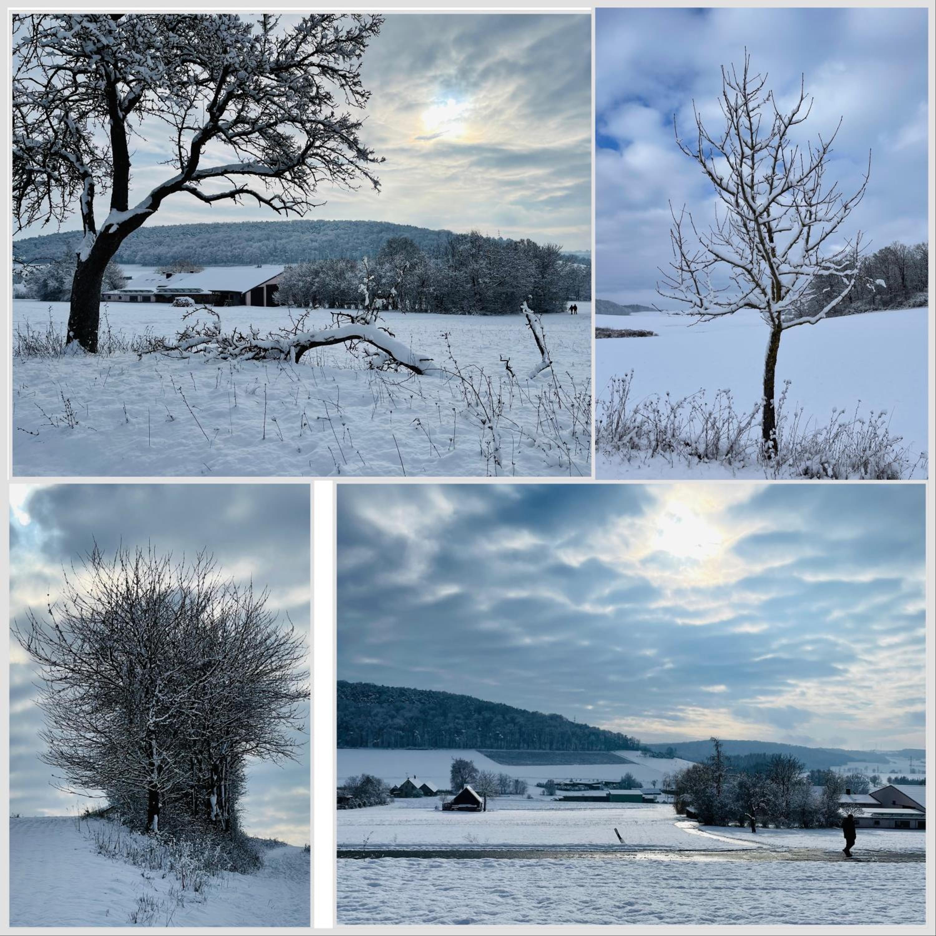 FeWo Uettingen Mitte - Property Image 12