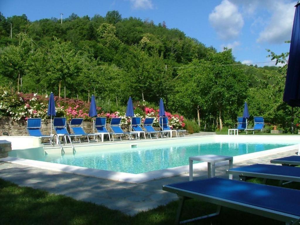 Agriturismo Podere La Casaccia view 4