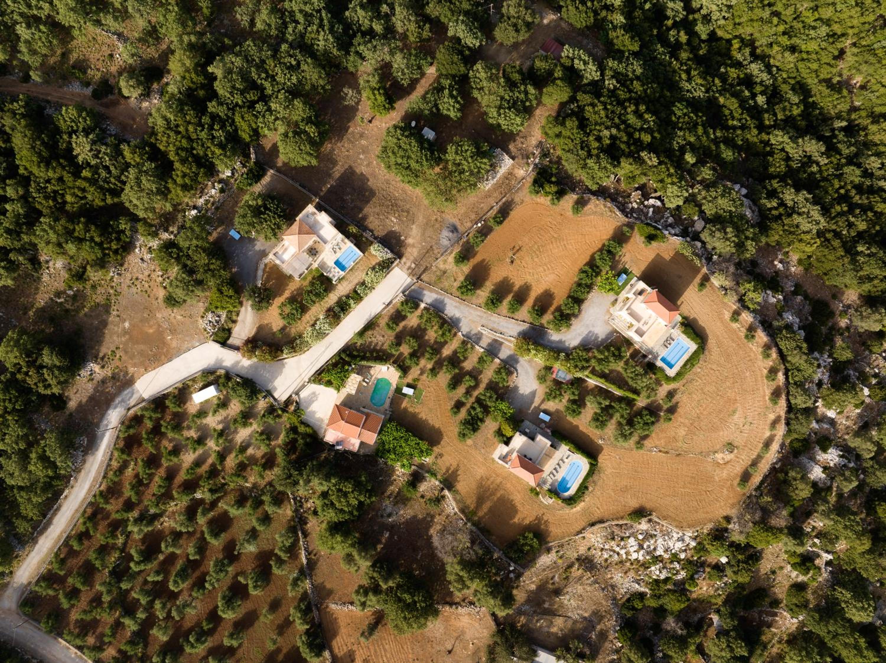 Ellotia & Asterion By Forest Villas