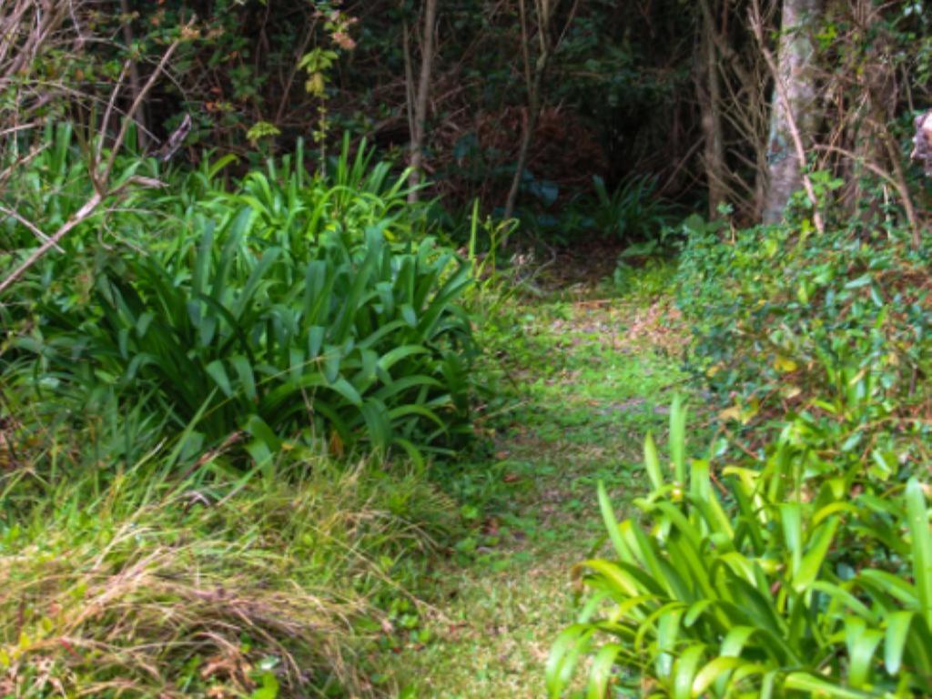 Storms River Peak Accommodation
