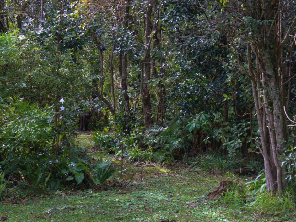 Storms River Peak Accommodation