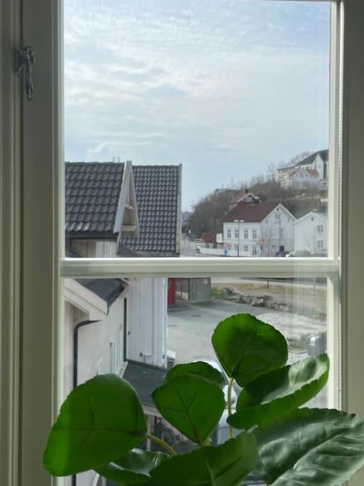 Stilfull bolig med 4 soverom - nær Arendal sentrum med parkering