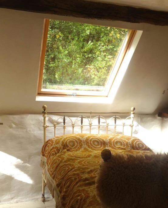 Mellow Mountain Eco Retreat Wales Hot-Tub Sauna view 4