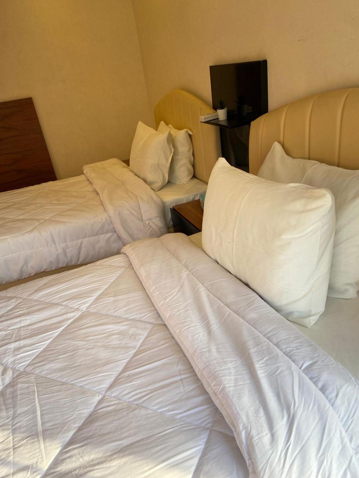 a 3 bedroom apartment with lovely Nile view