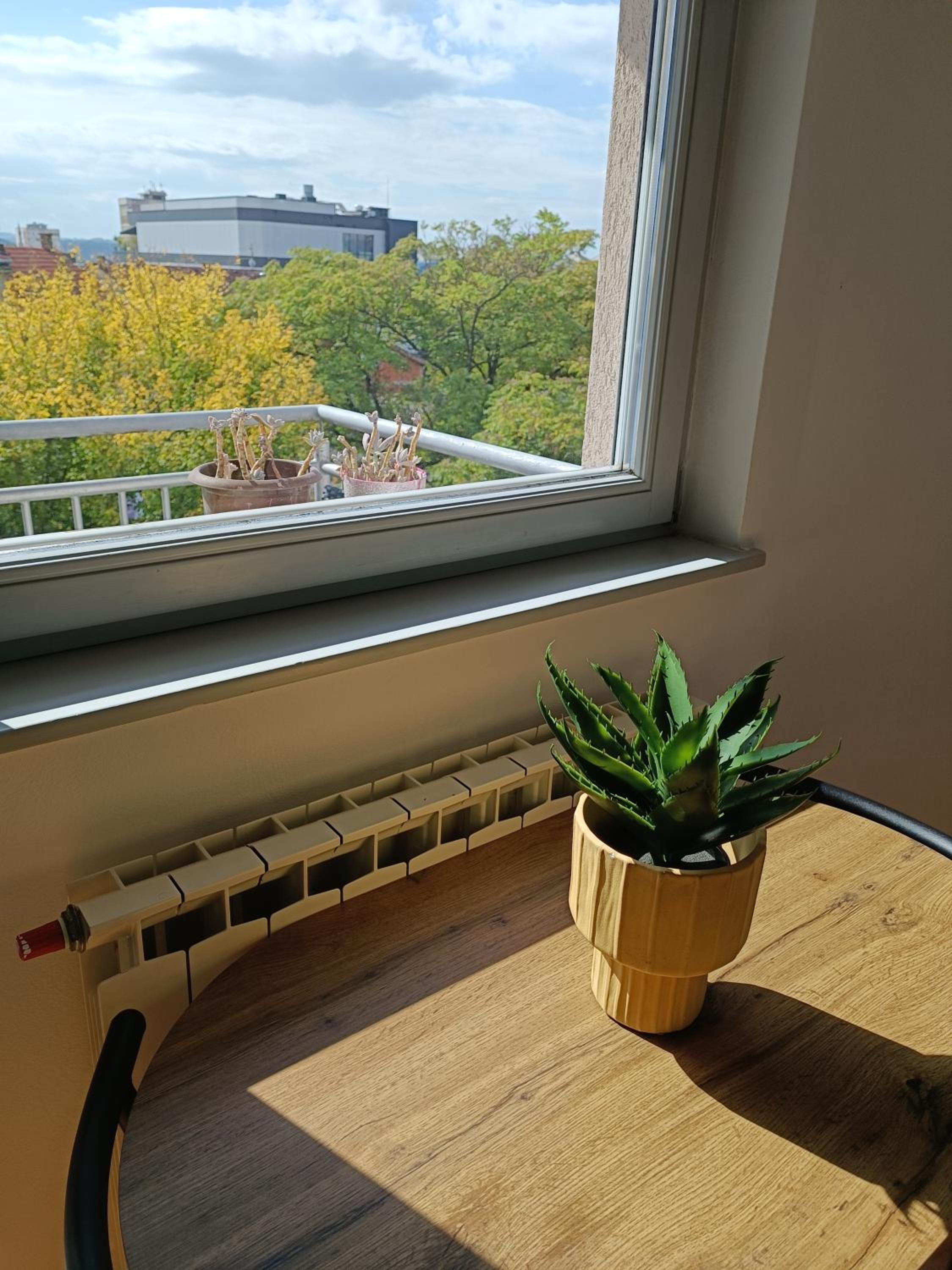 Terrace Lux Apartment