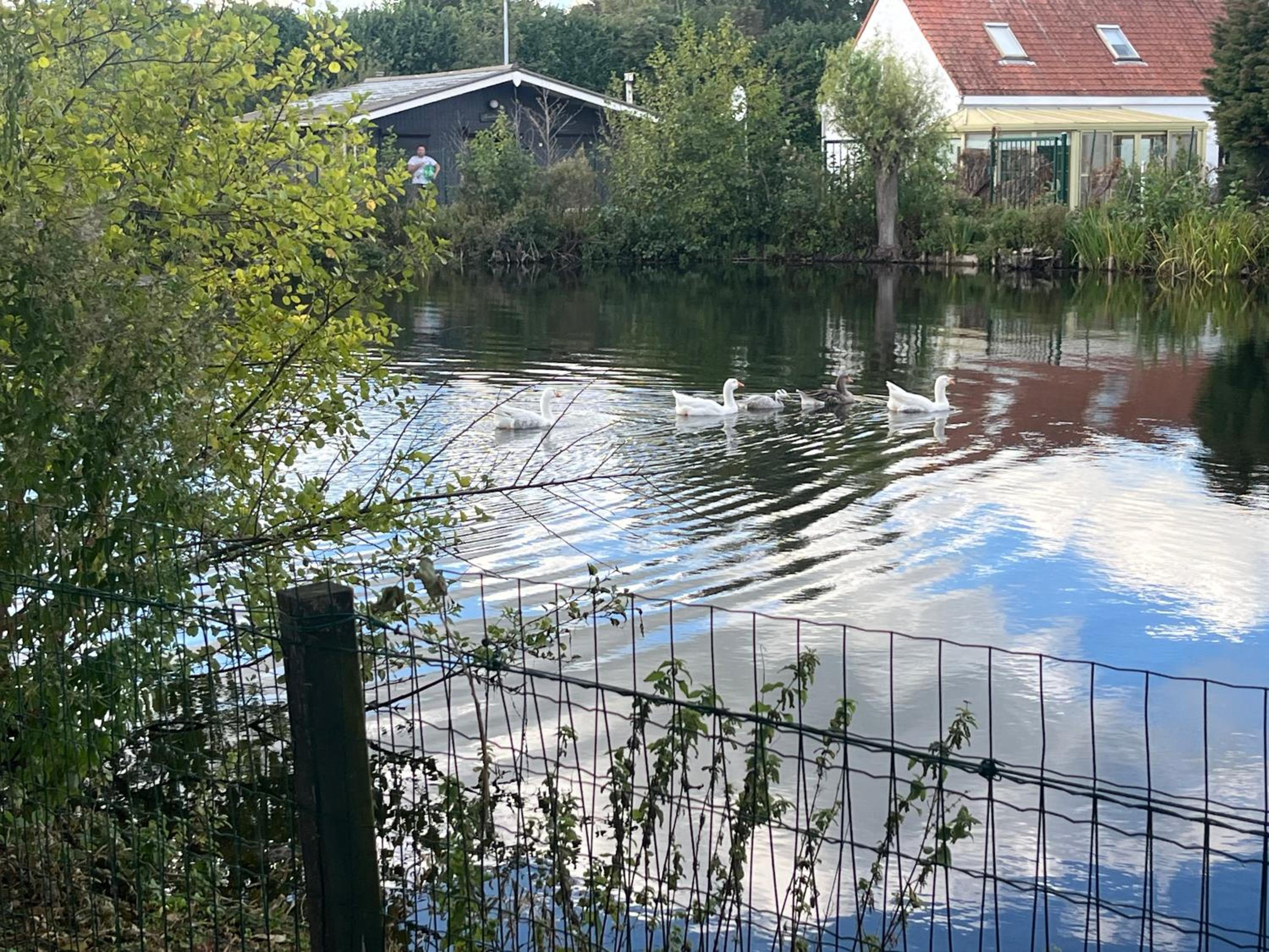chaletje tis-ier-goed