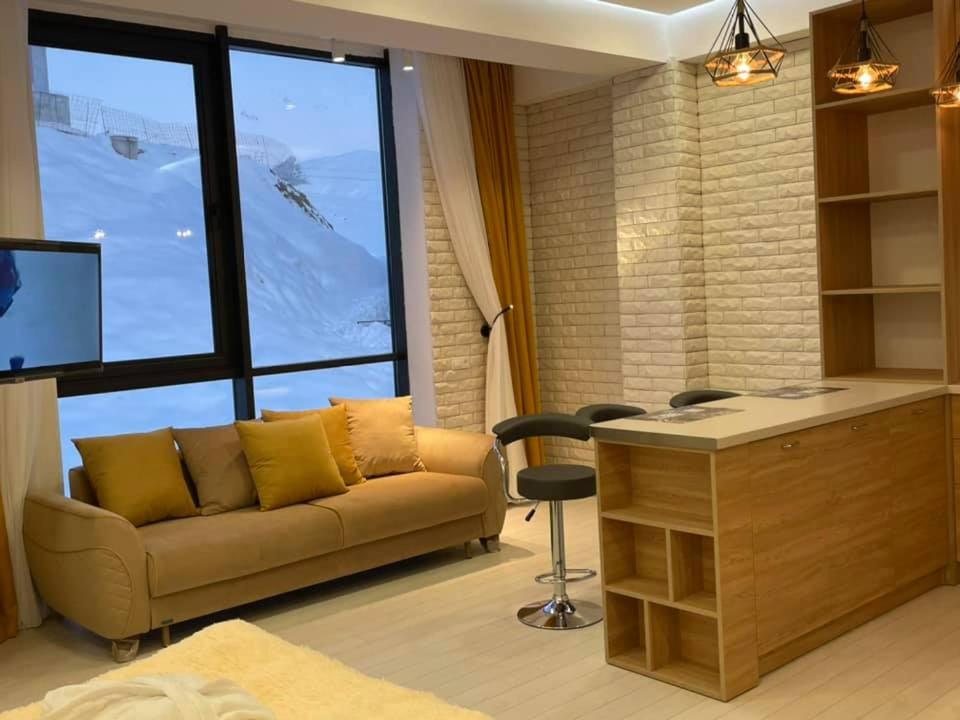 winter house GUDAURI