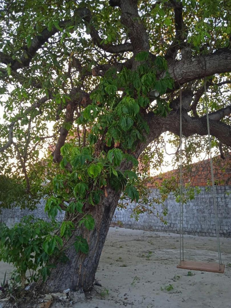 Casa Paracuru- ce