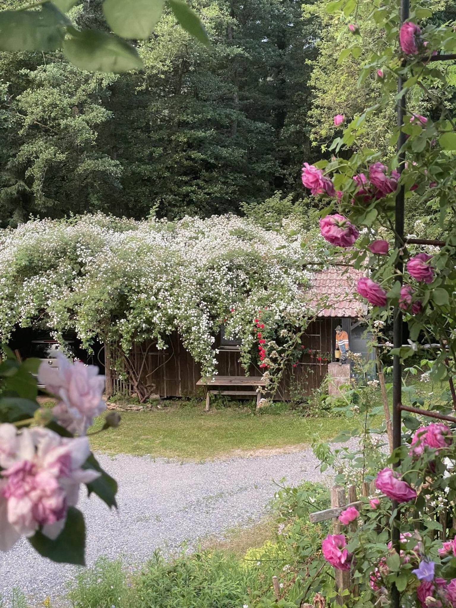 Neues Forsthaus Saldenburg