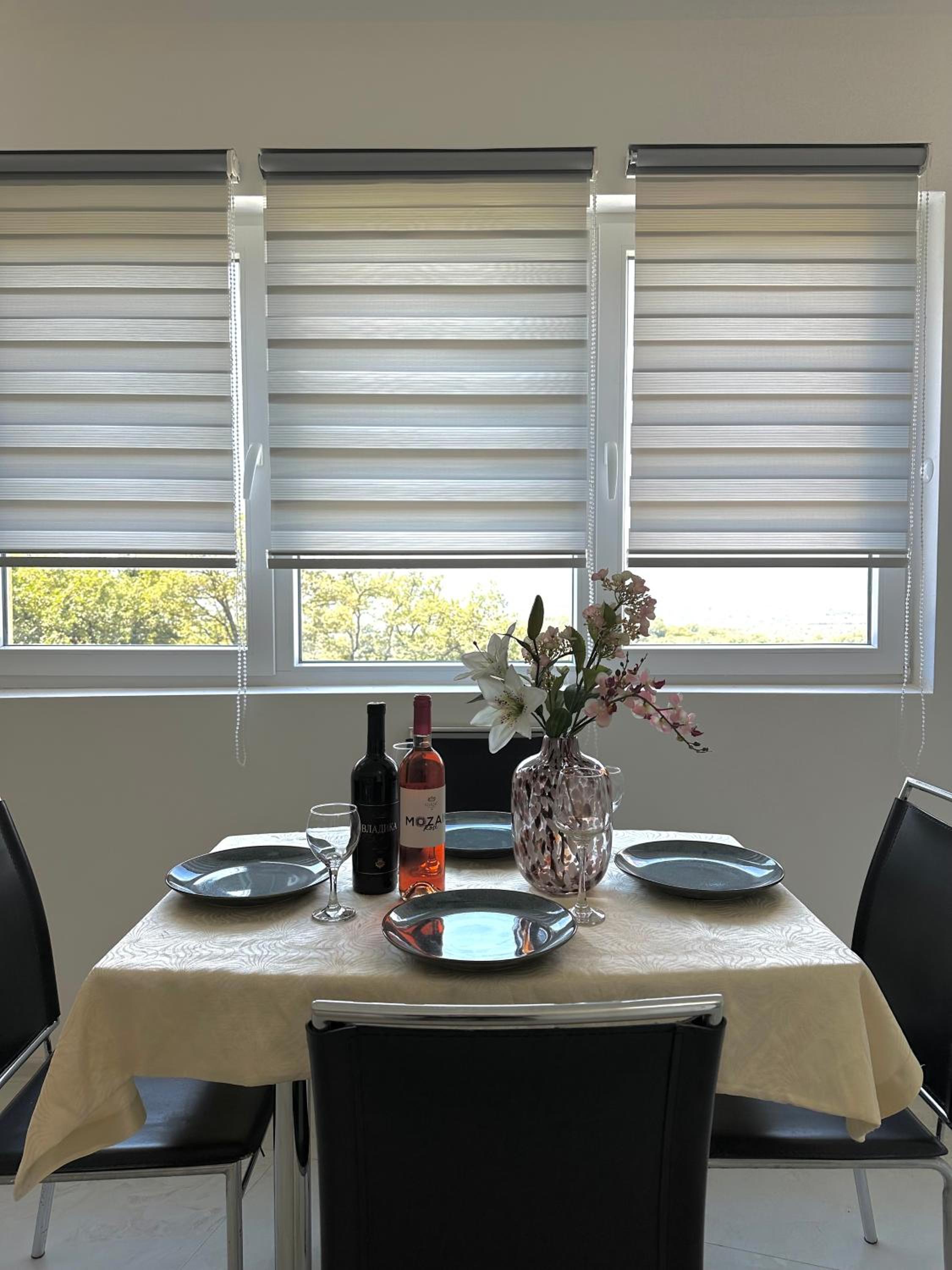 Apartman Kika view 3