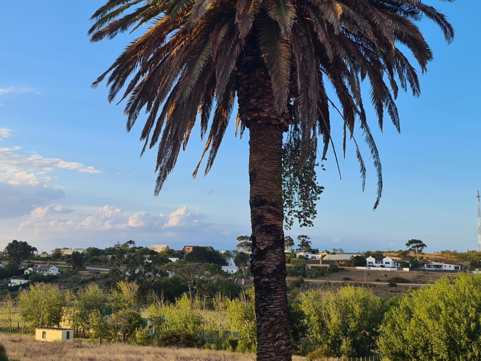 The Restio Country Guesthouse view 4