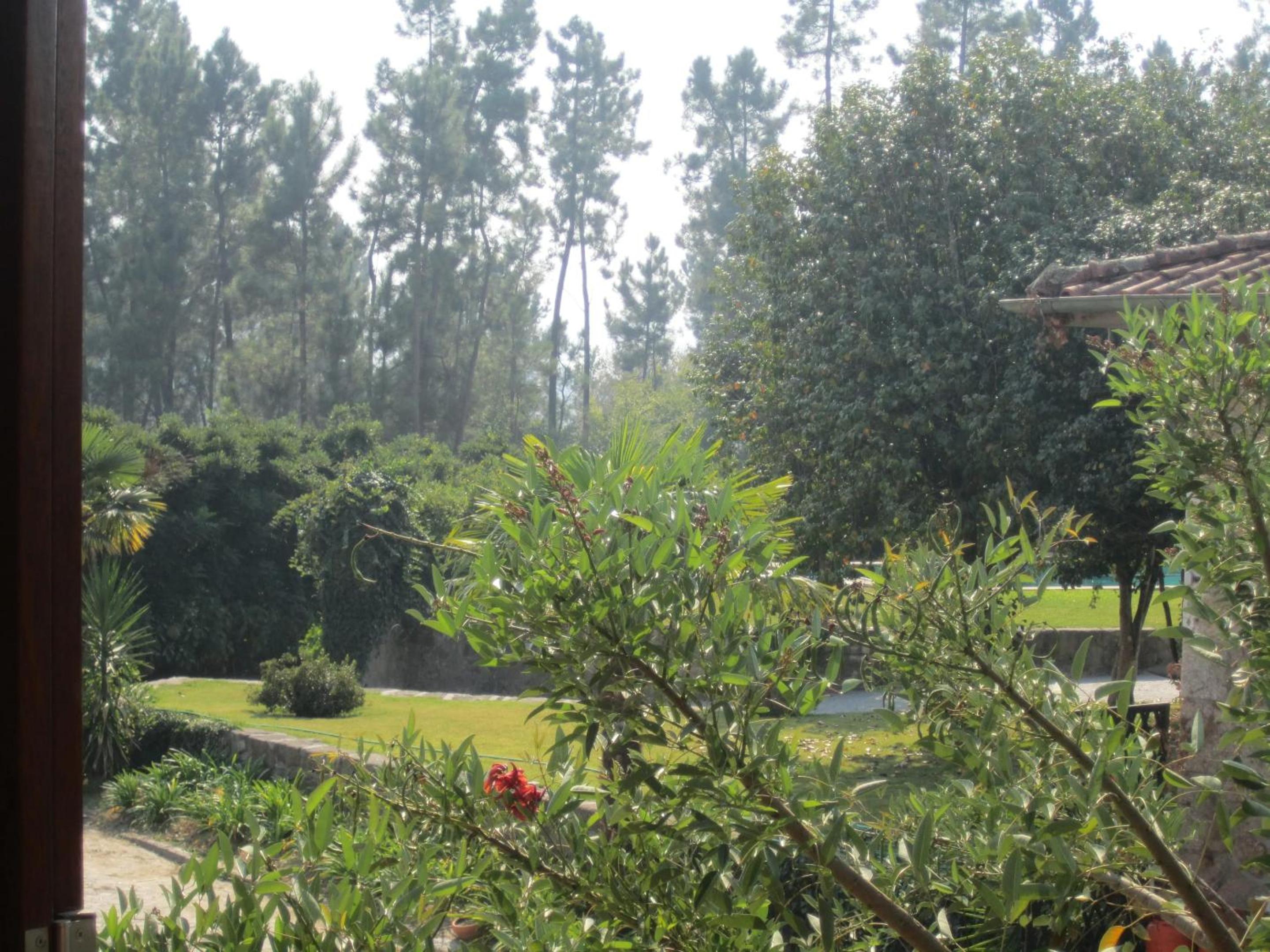 Photo 45