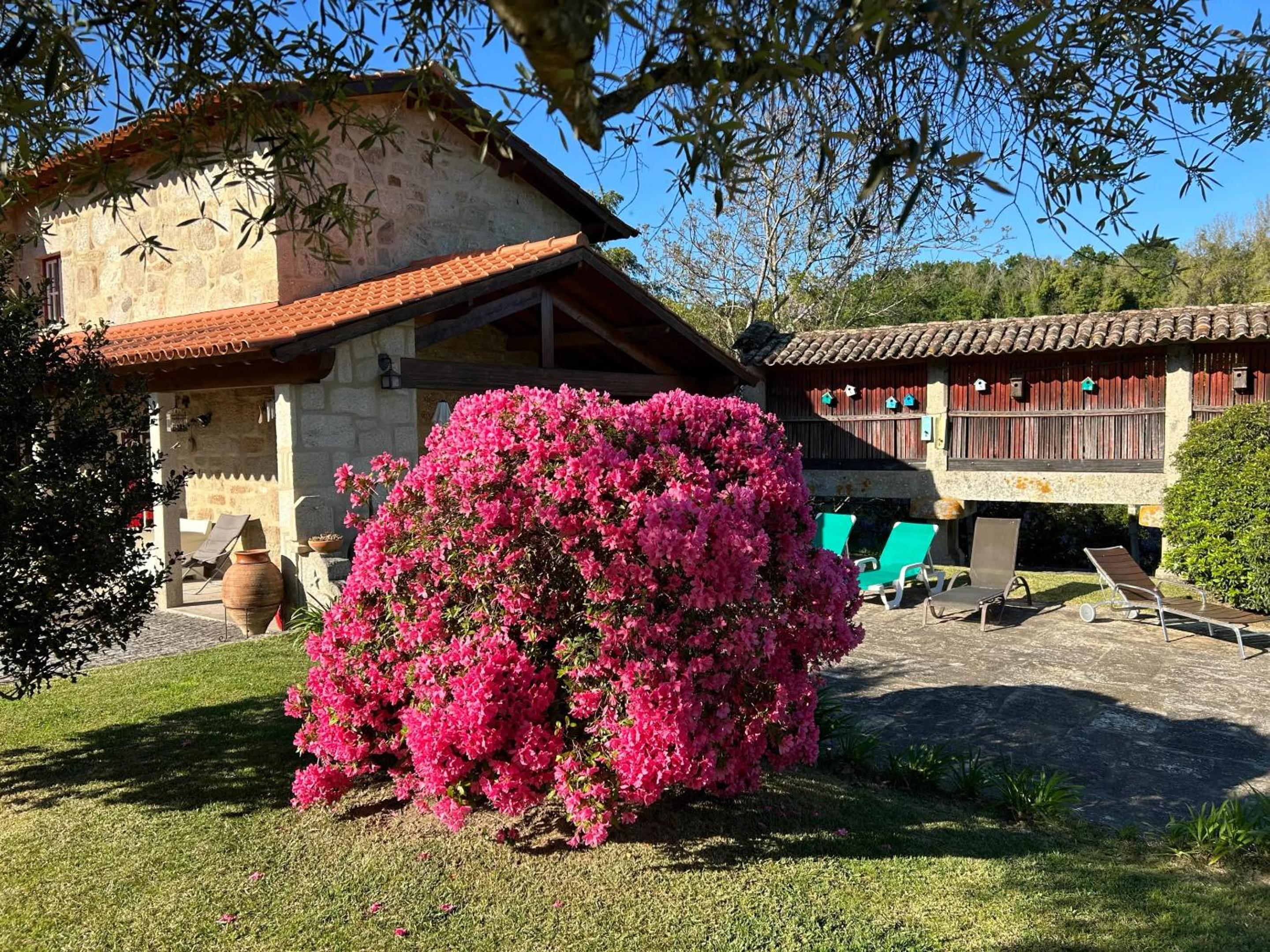 Spacious Villa in Carrazedo with Pool view 3