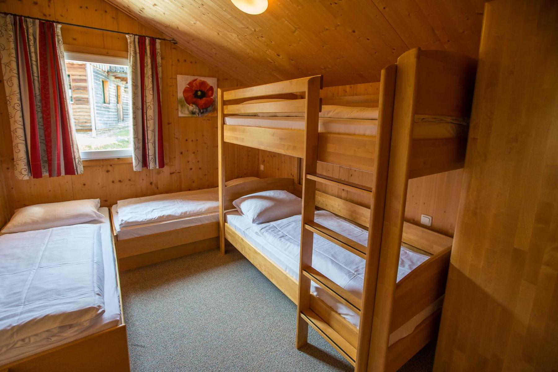 Alpendorf Dachstein West by ALPS RESORTS