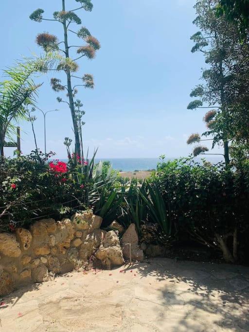 Venus beach 2 bedrooms