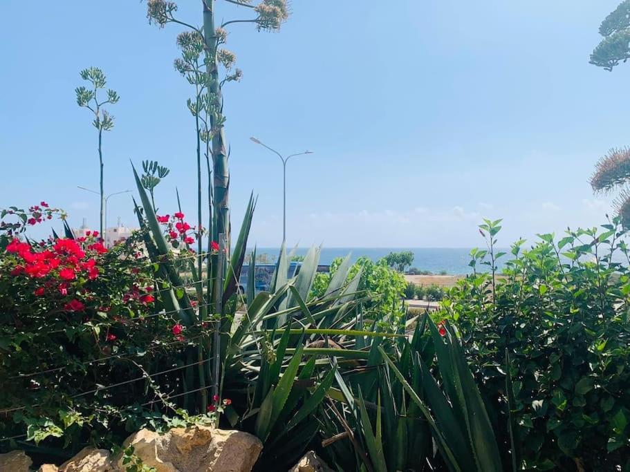 Venus beach 2 bedrooms