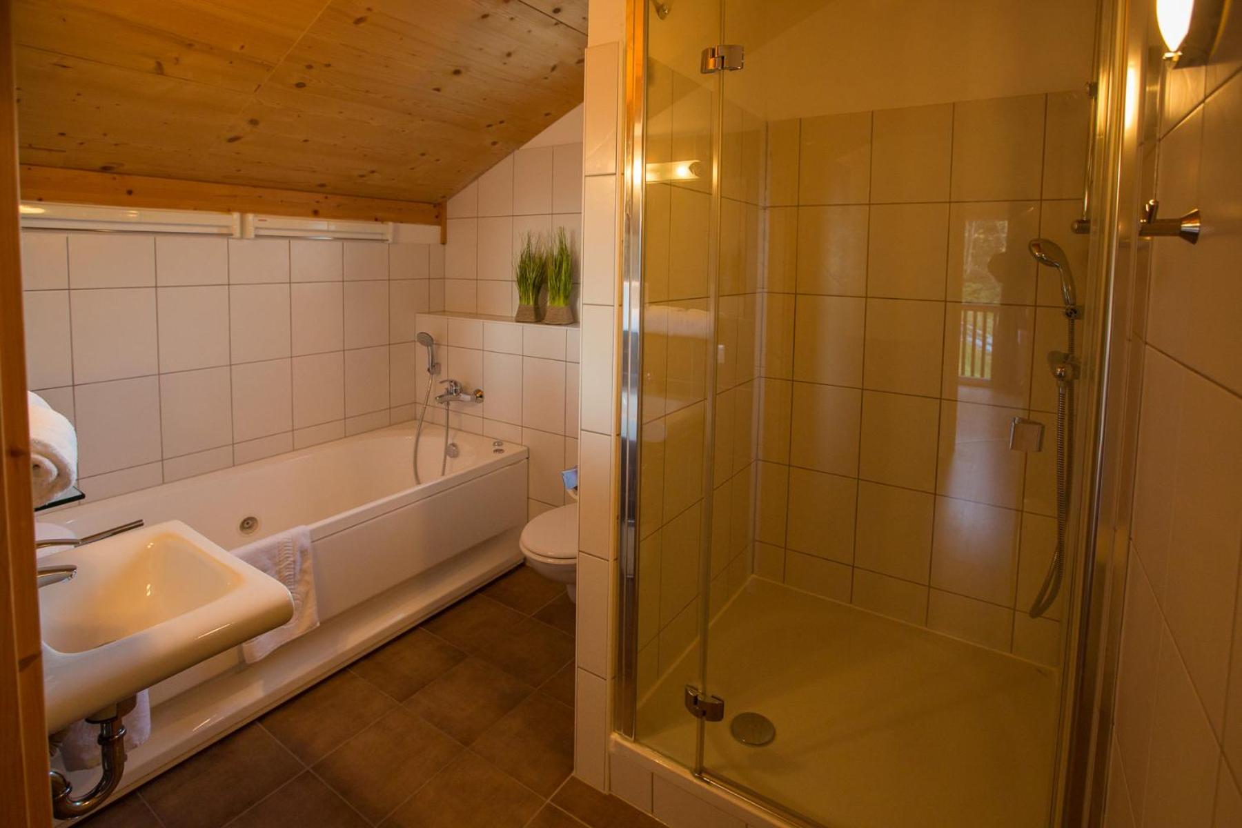 Alpendorf Dachstein West by ALPS RESORTS