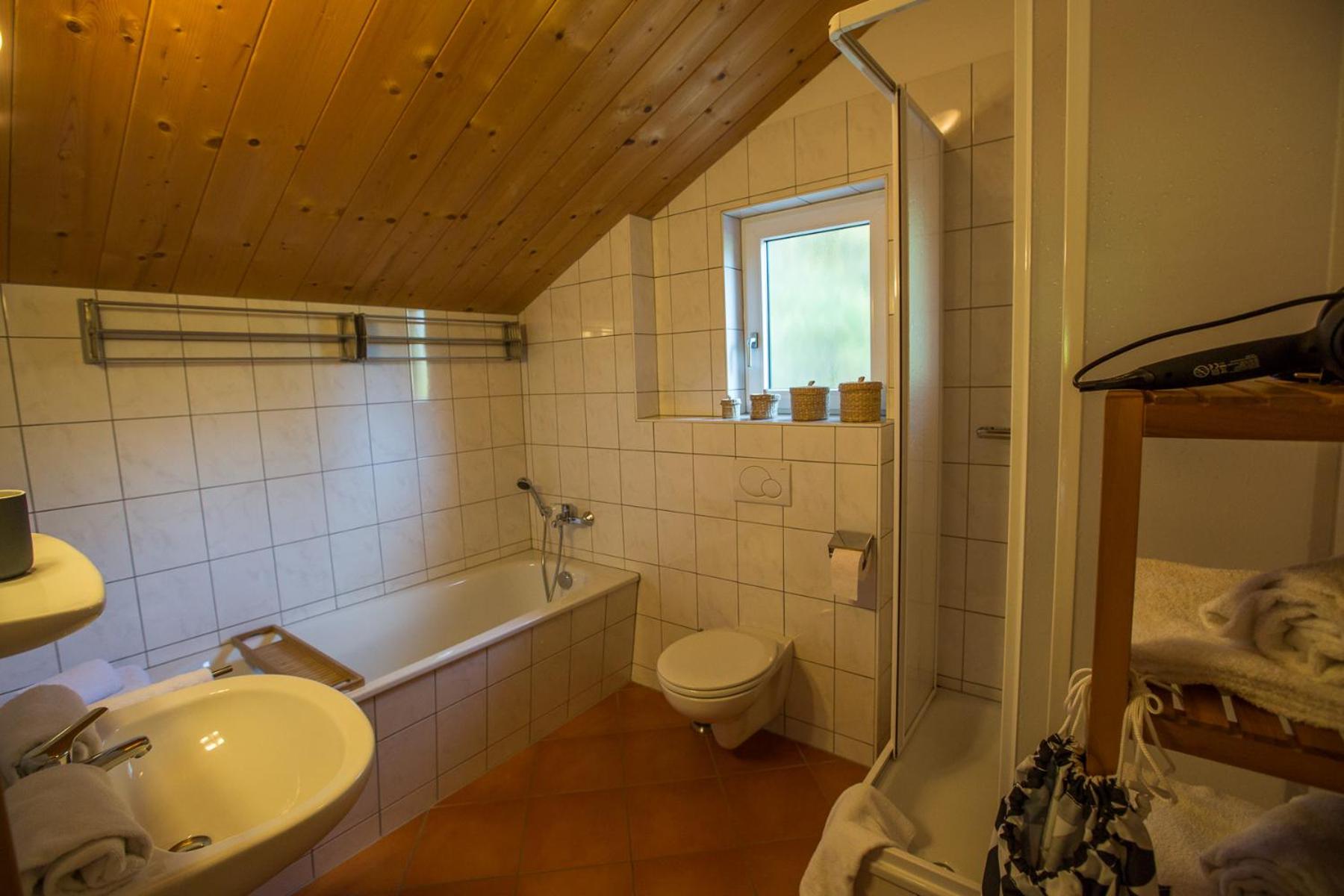 Alpendorf Dachstein West by ALPS RESORTS