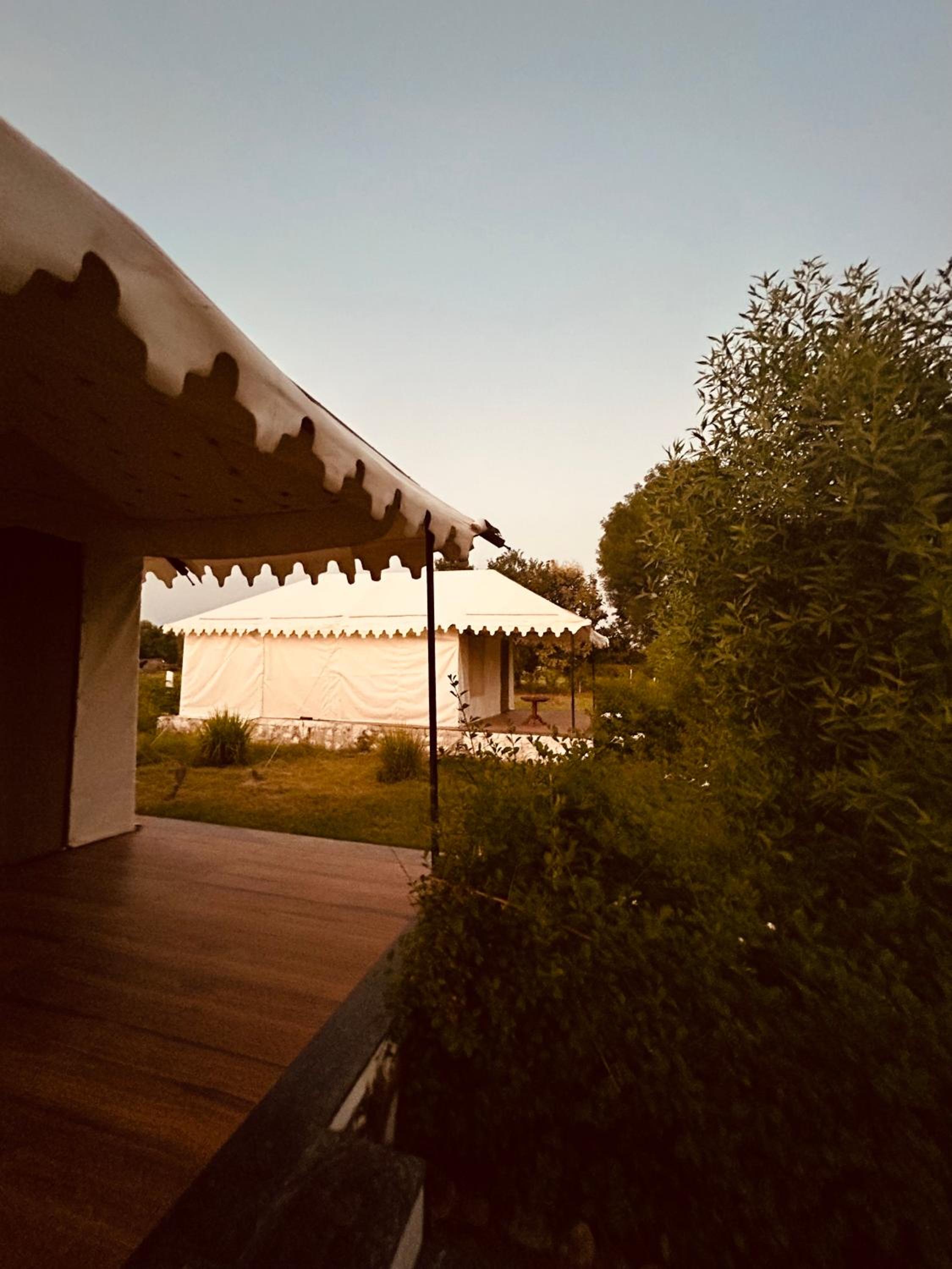 Jawai Horizon Camp