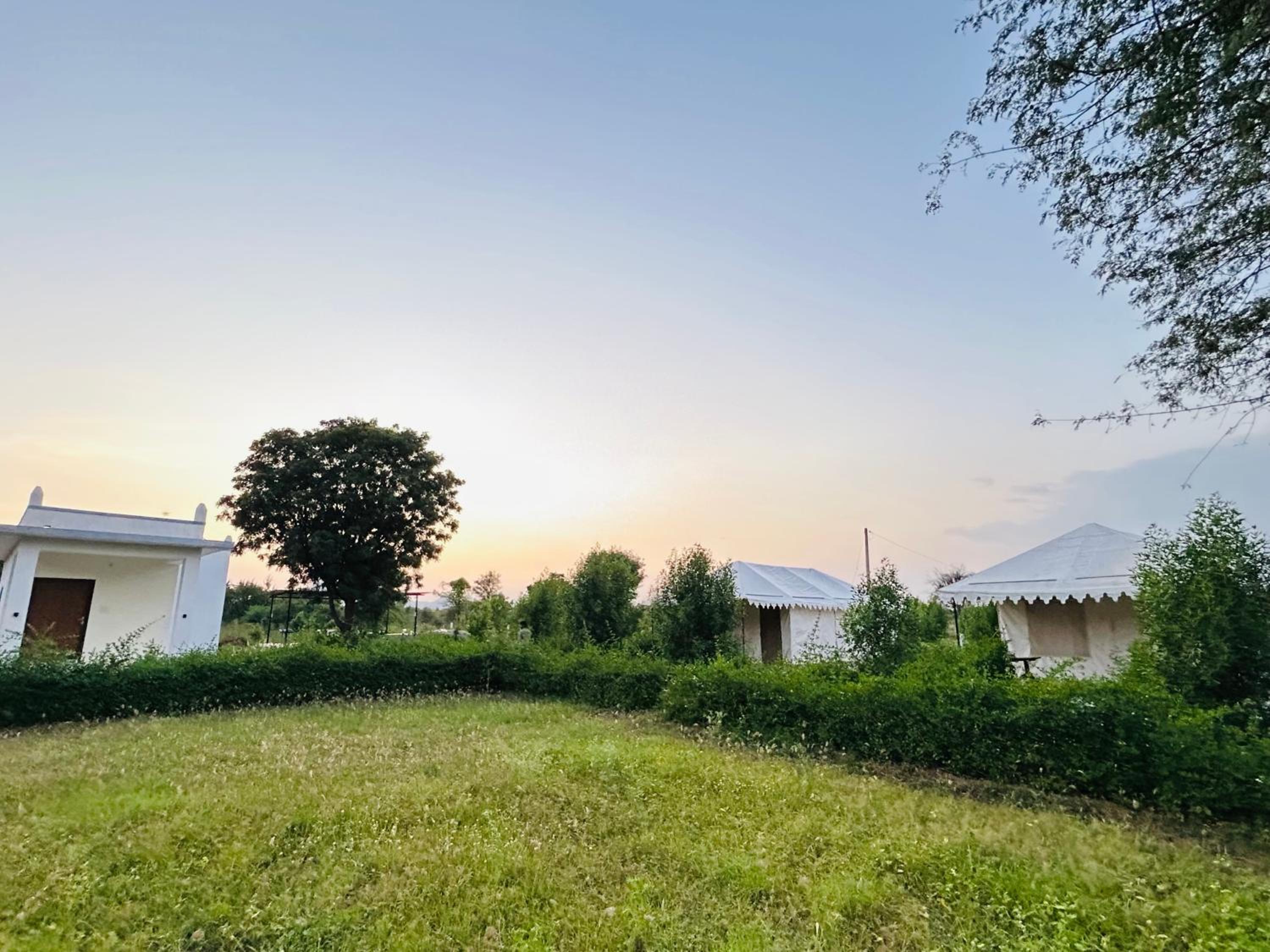 Jawai Horizon Camp