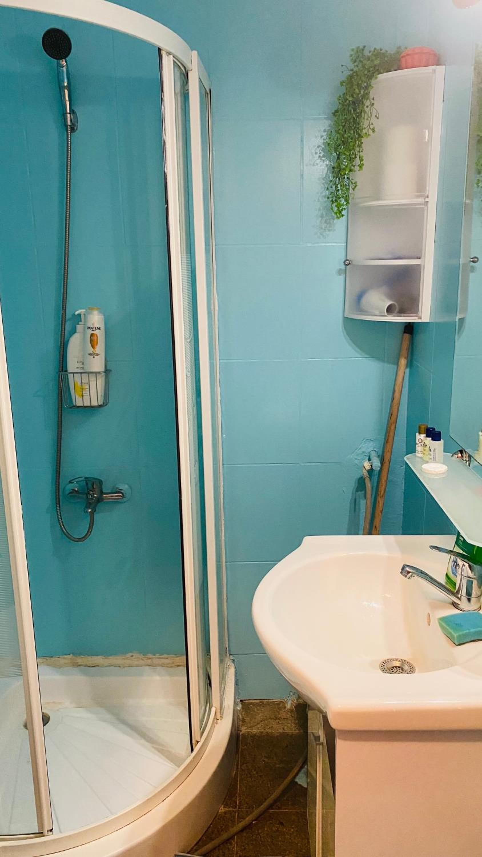 One bedroom apartment in the city center view 3