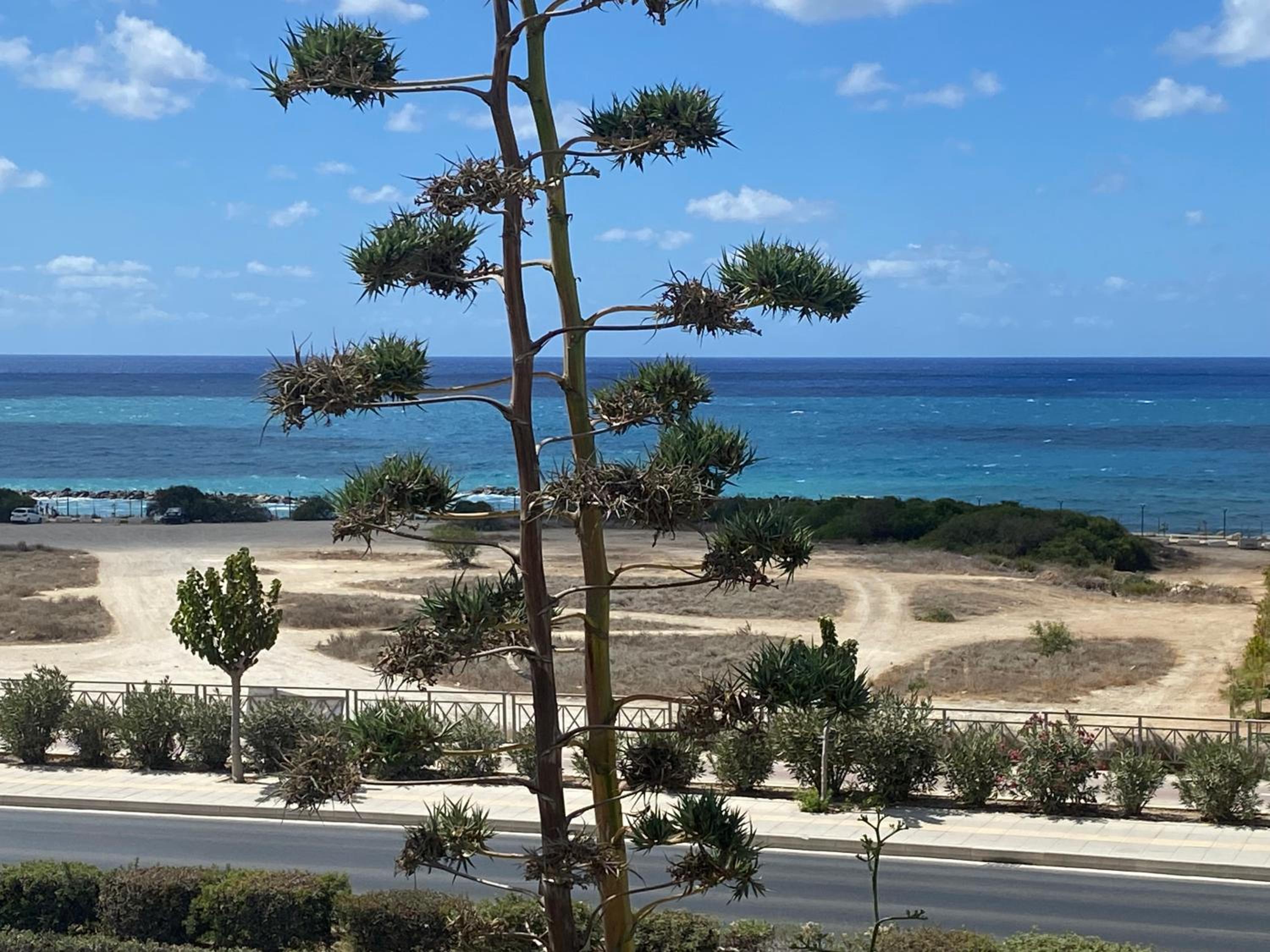 Venus beach 2 bedrooms