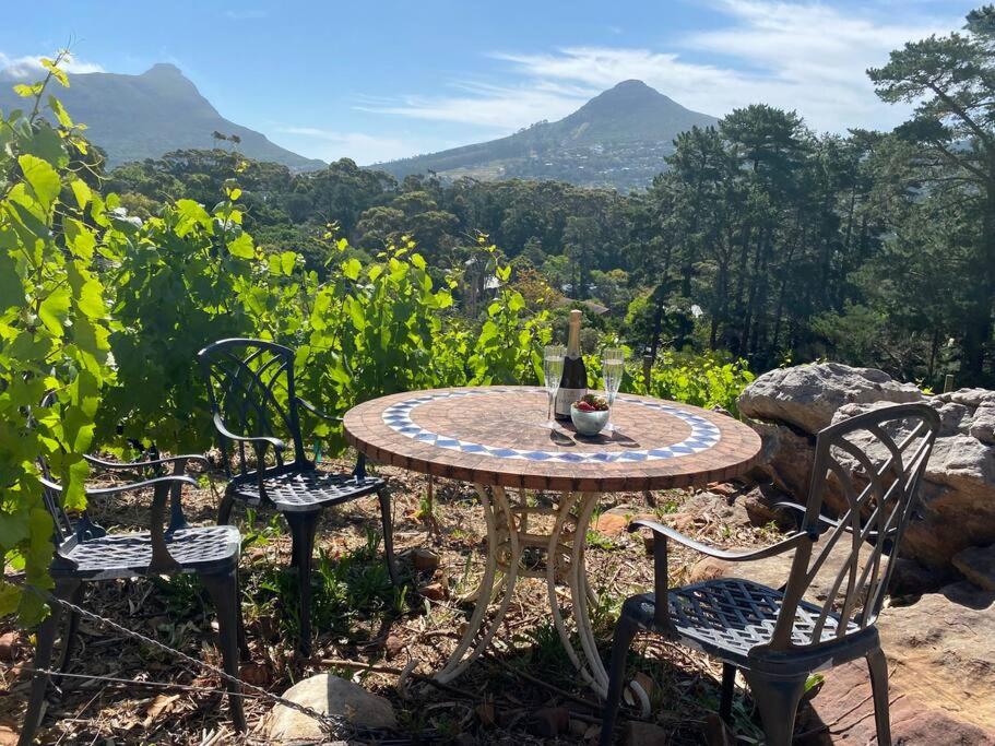 Mountain Vineyard Cottage view 2