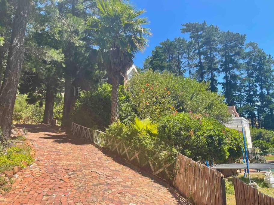 Mountain Vineyard Cottage view 4