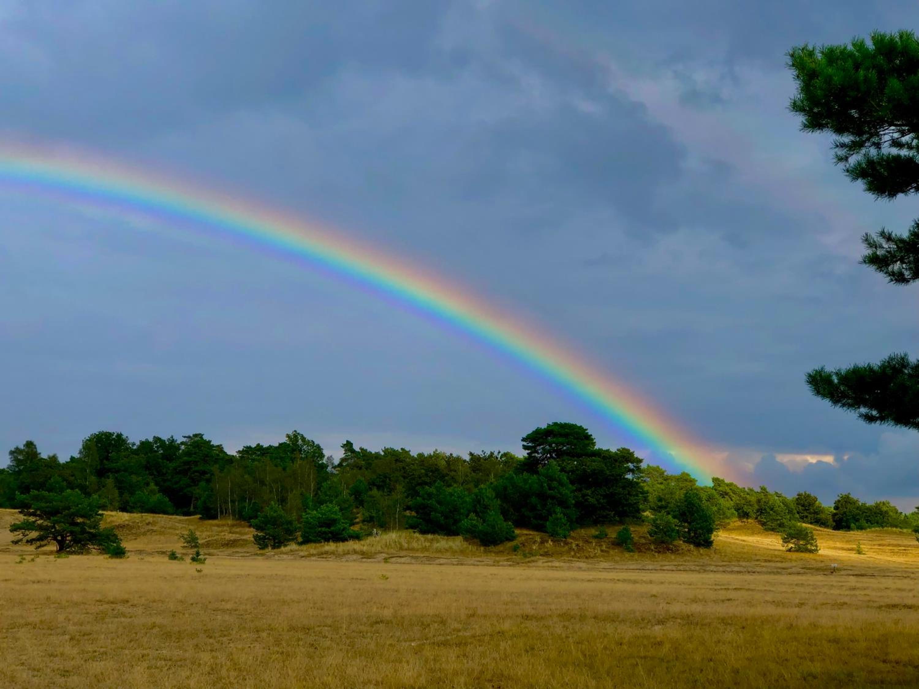 Het Natuurhuisje op de Veluwe view 3