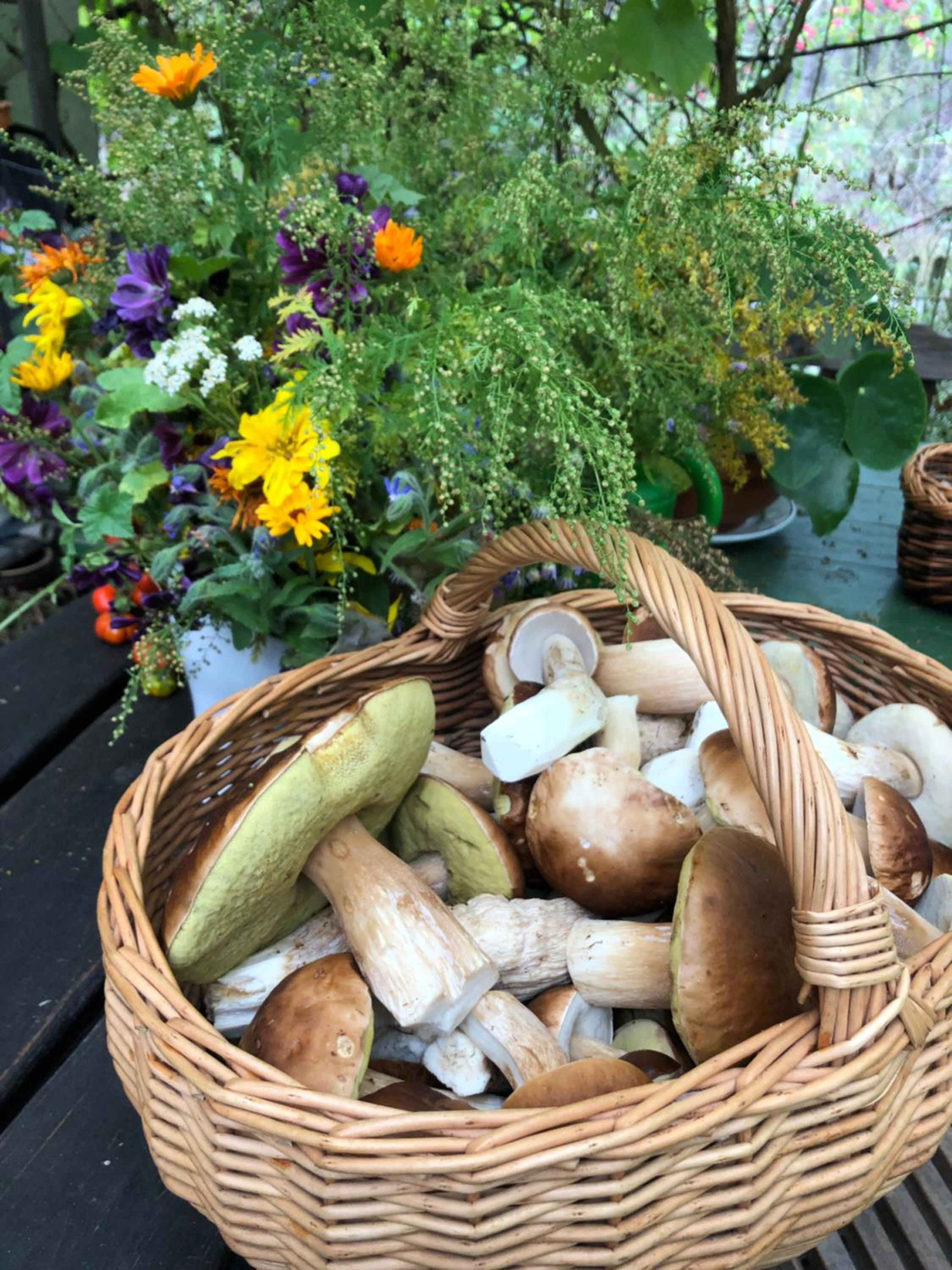 Scheunenherberge Schäfchenzählerei