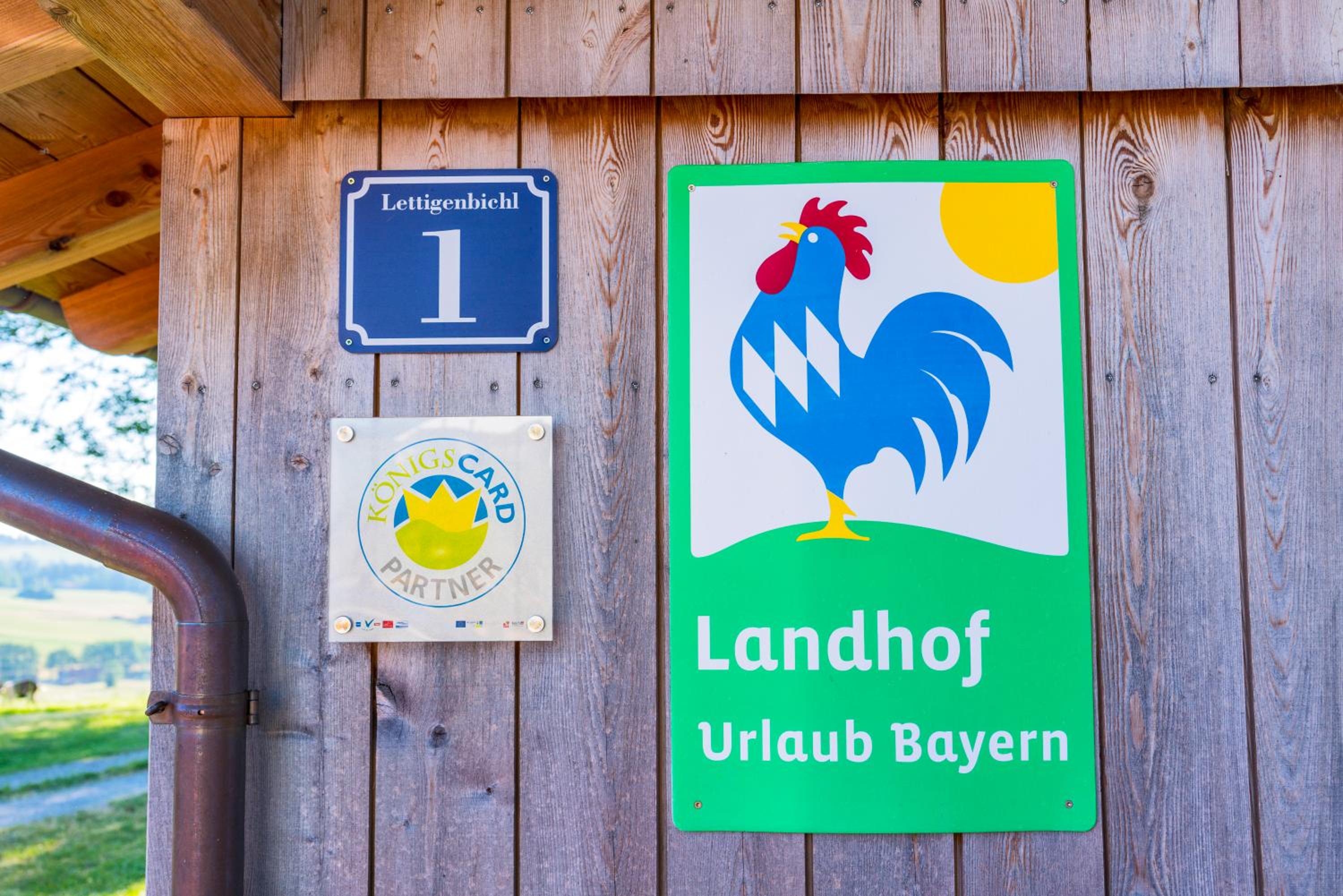 Ferien beim Baur