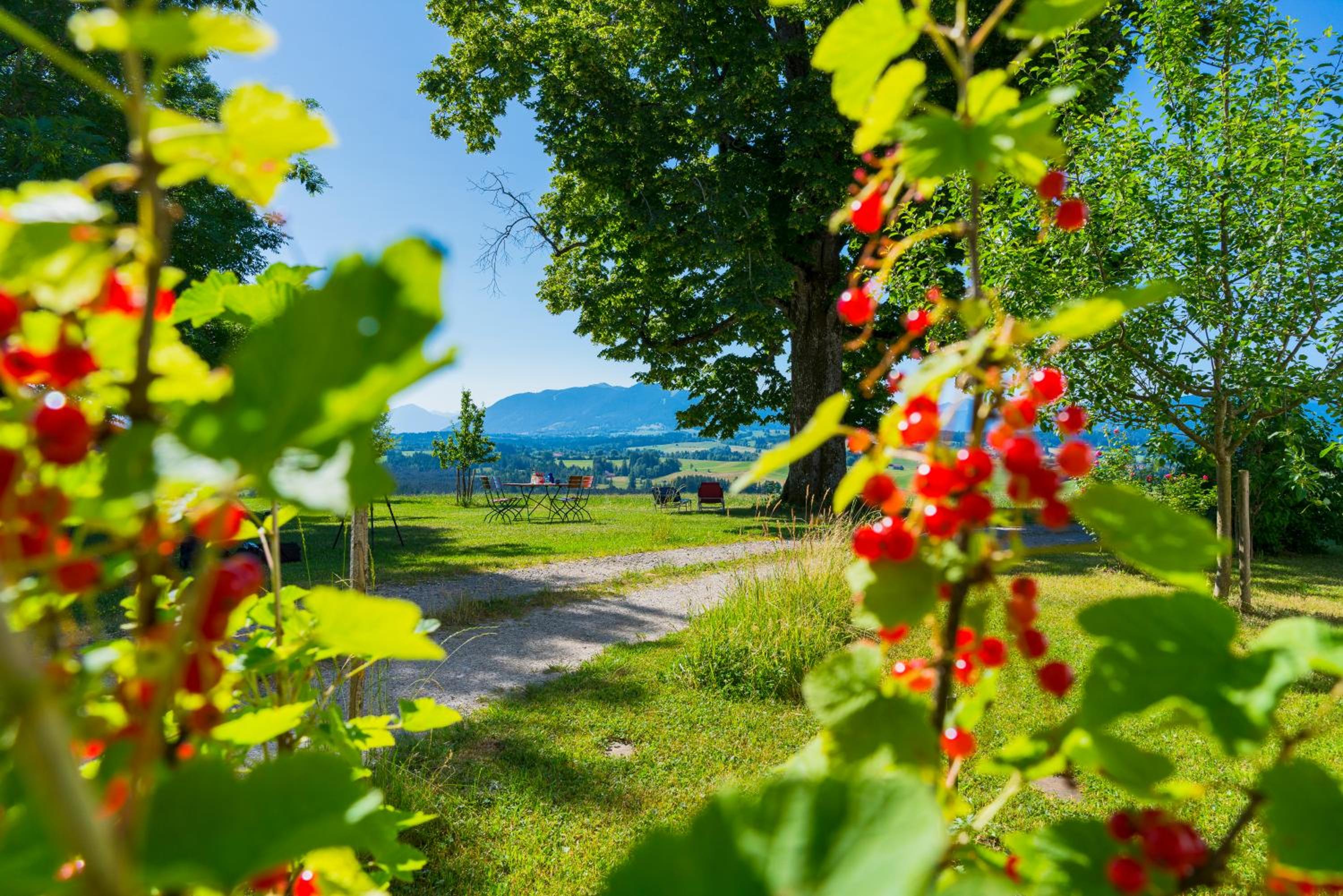 Ferien beim Baur