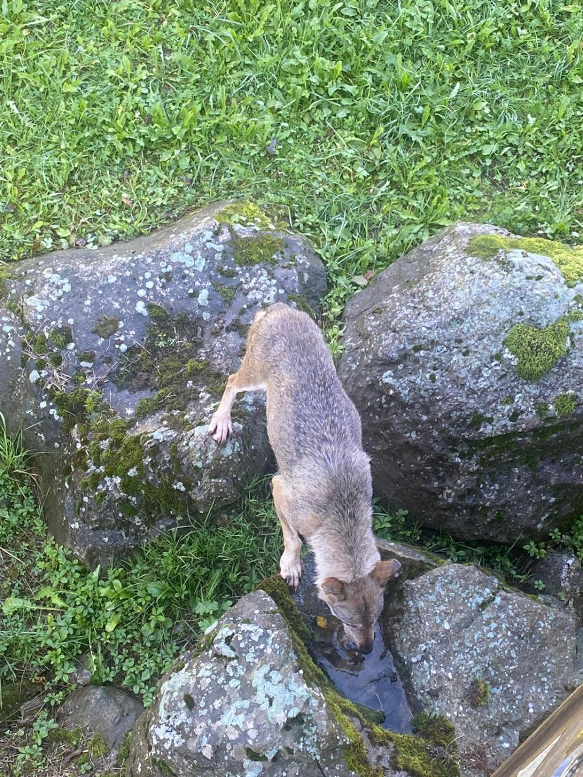 Photo 53