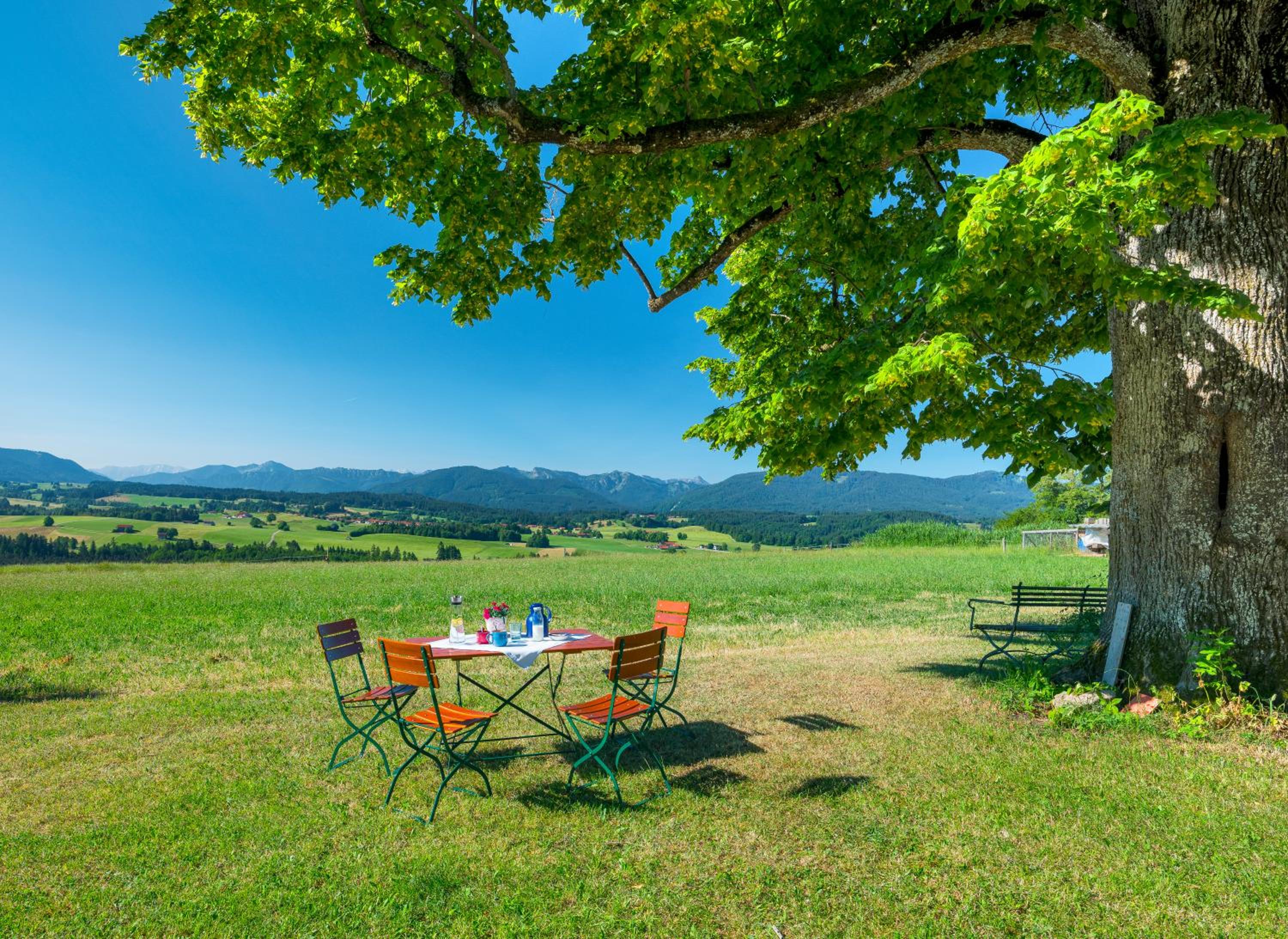 Ferien beim Baur