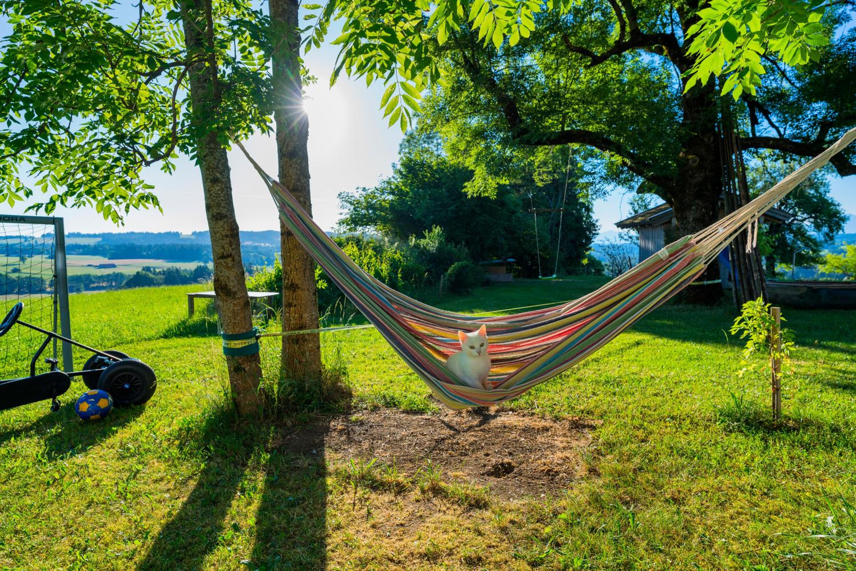Ferien beim Baur