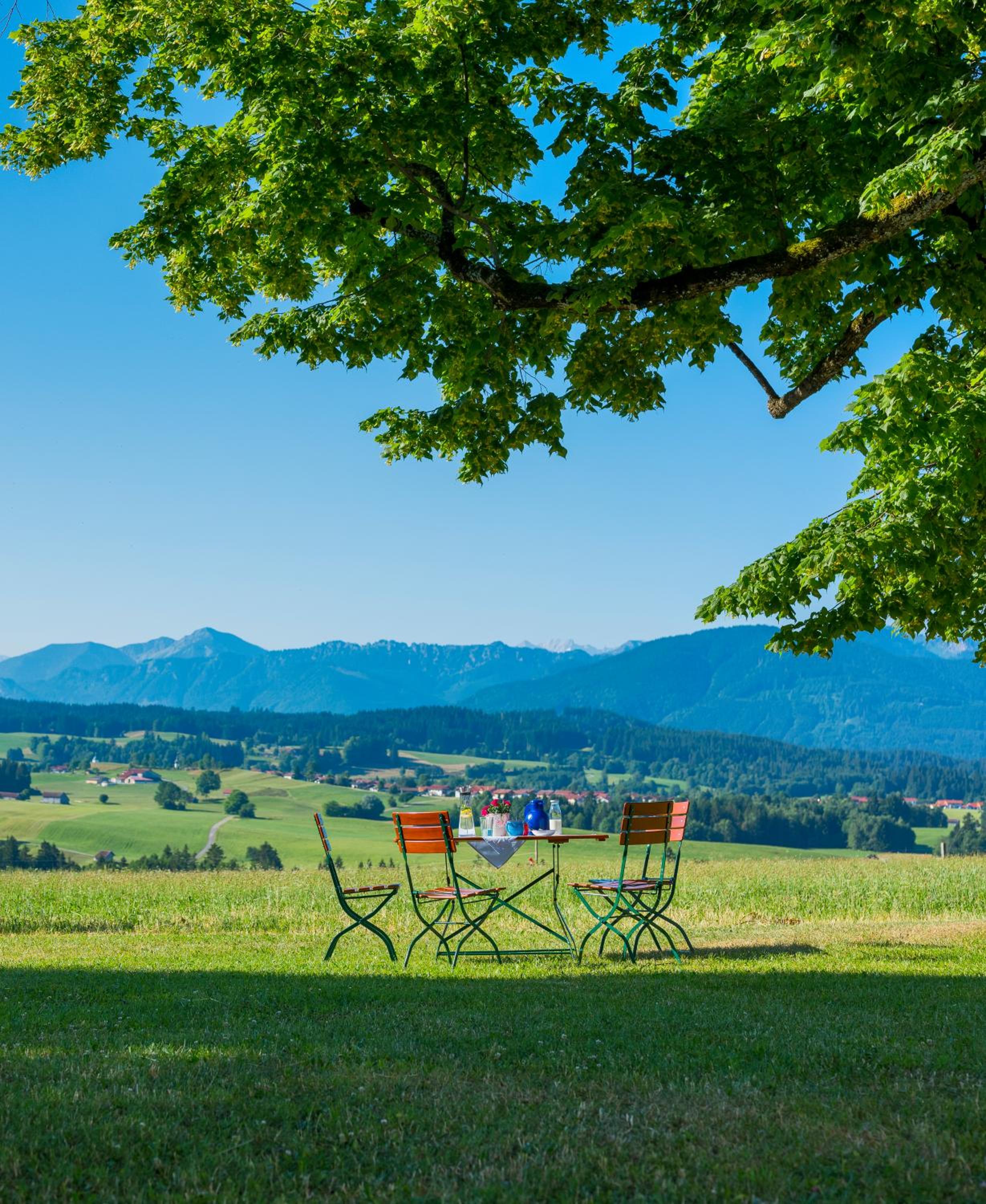 Ferien beim Baur