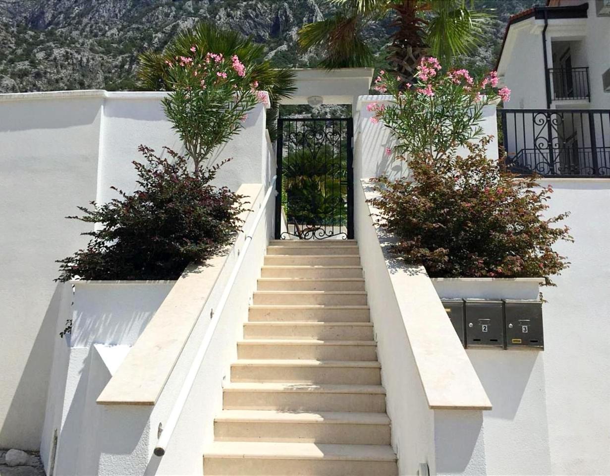 Apartment with private pool Kotor, Ljuta