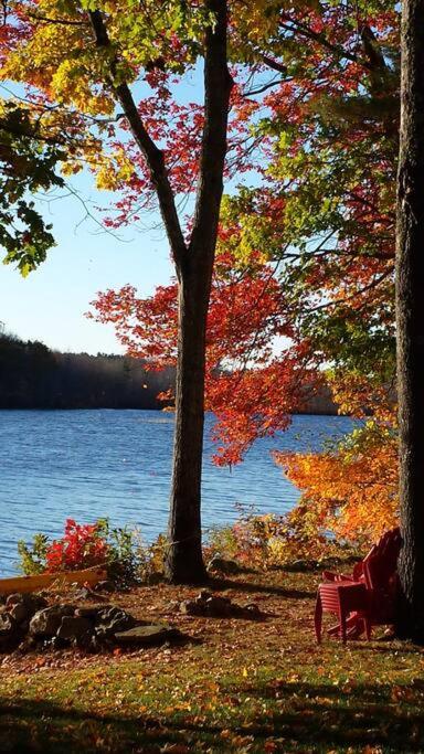 Cozy cottage view 2