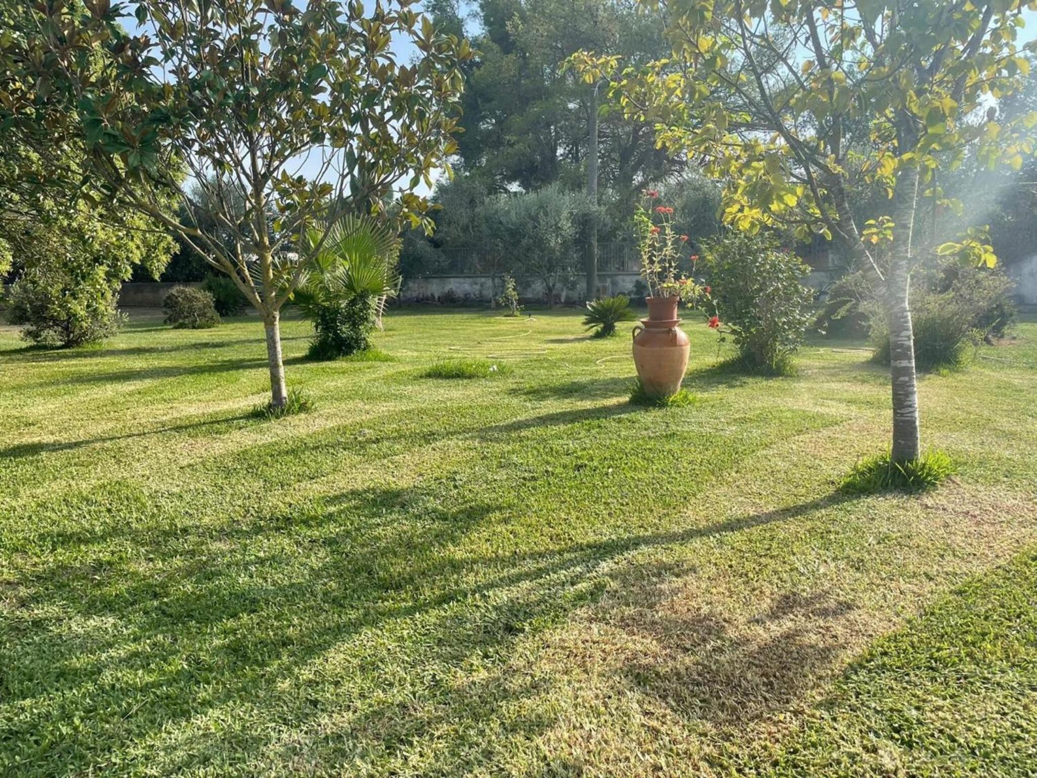 Villa Salento view 5