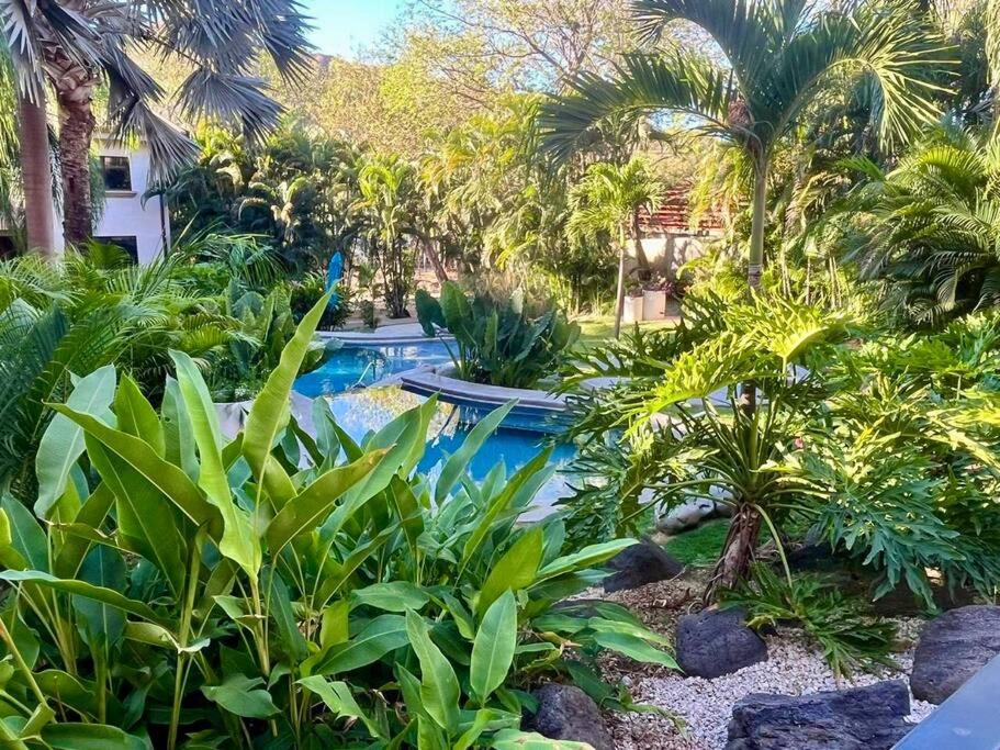Serena L1 walking distance to Ocotal