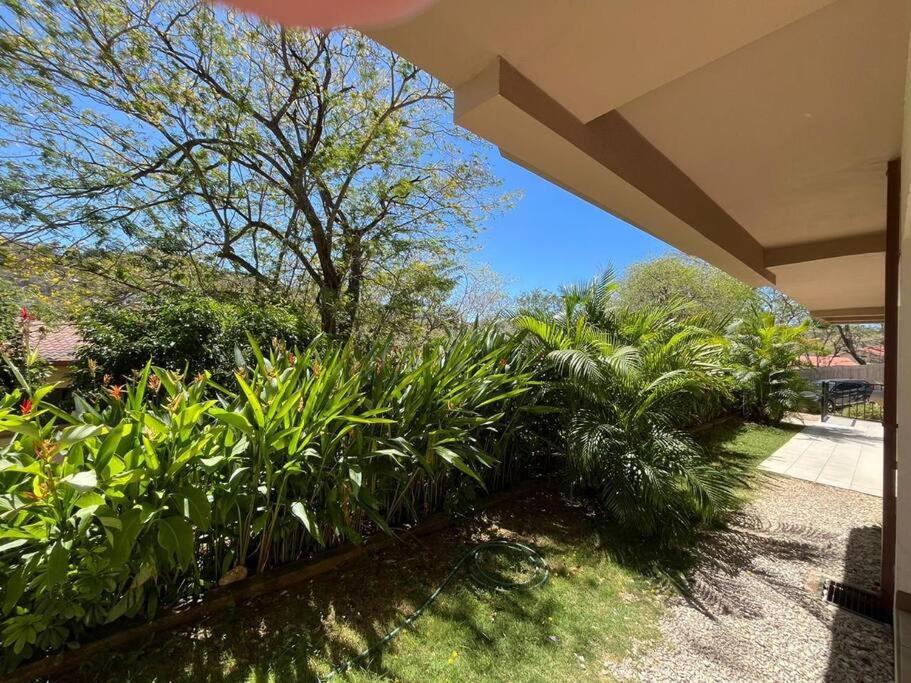 Serena L1 walking distance to Ocotal