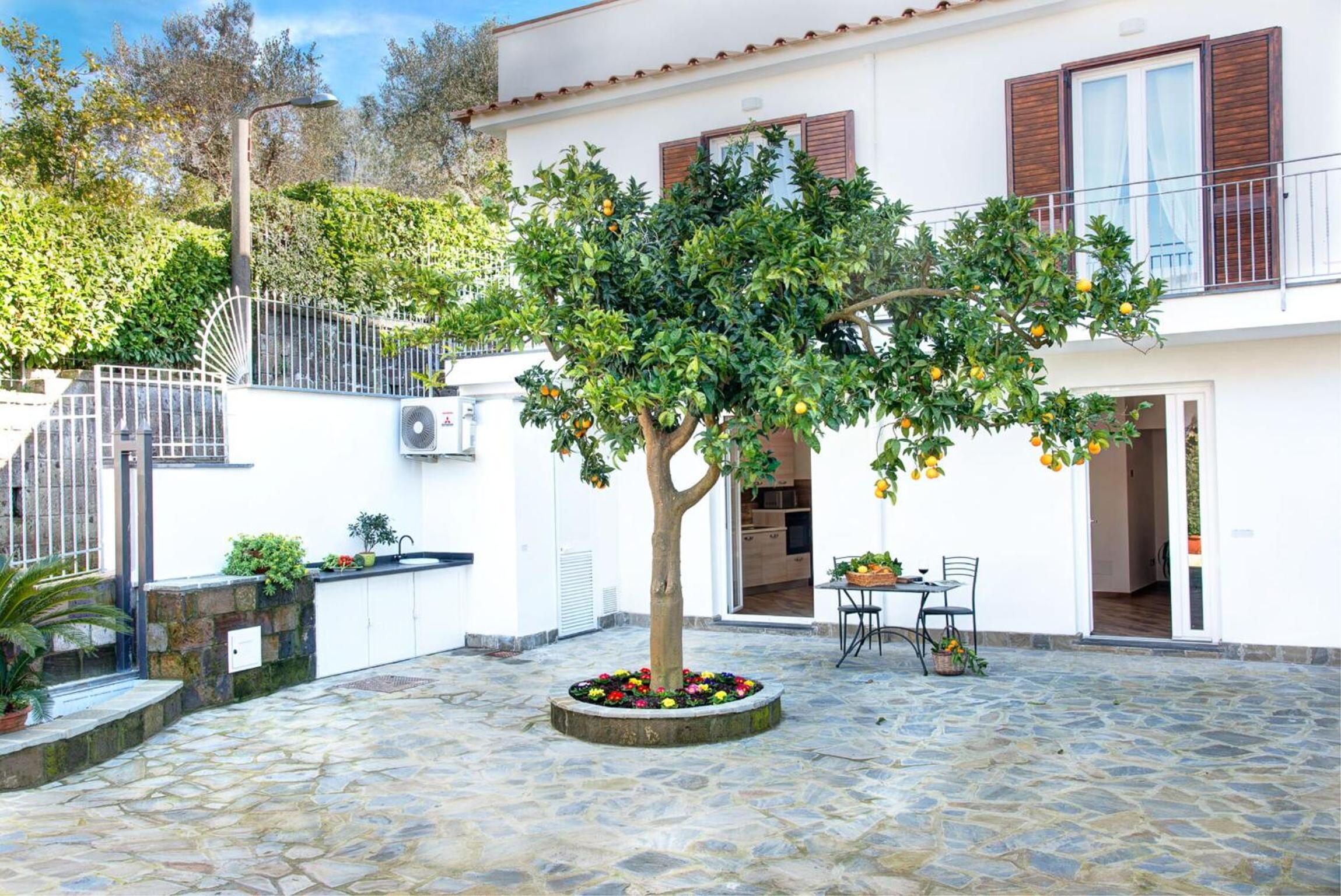 Clementine Country House photo 5