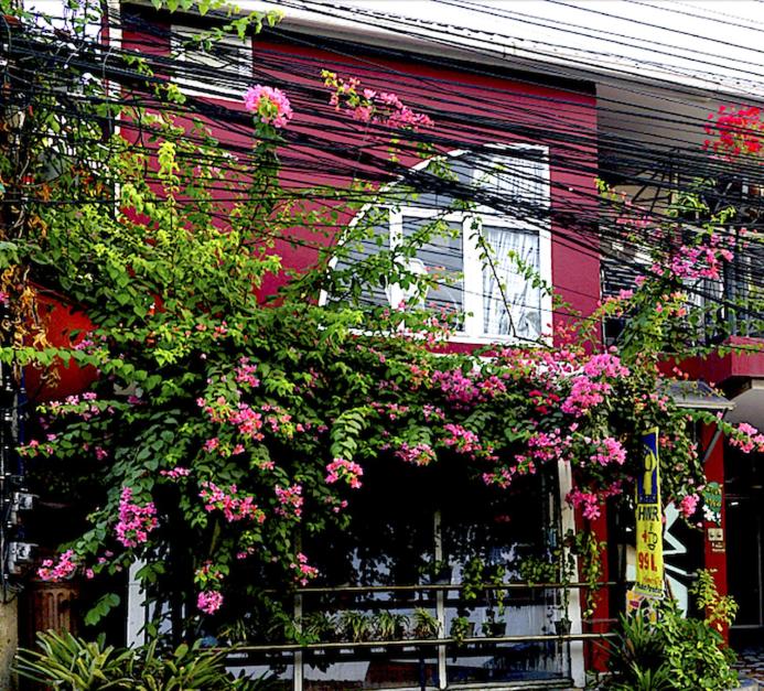 Hotel Phuket Paradiso