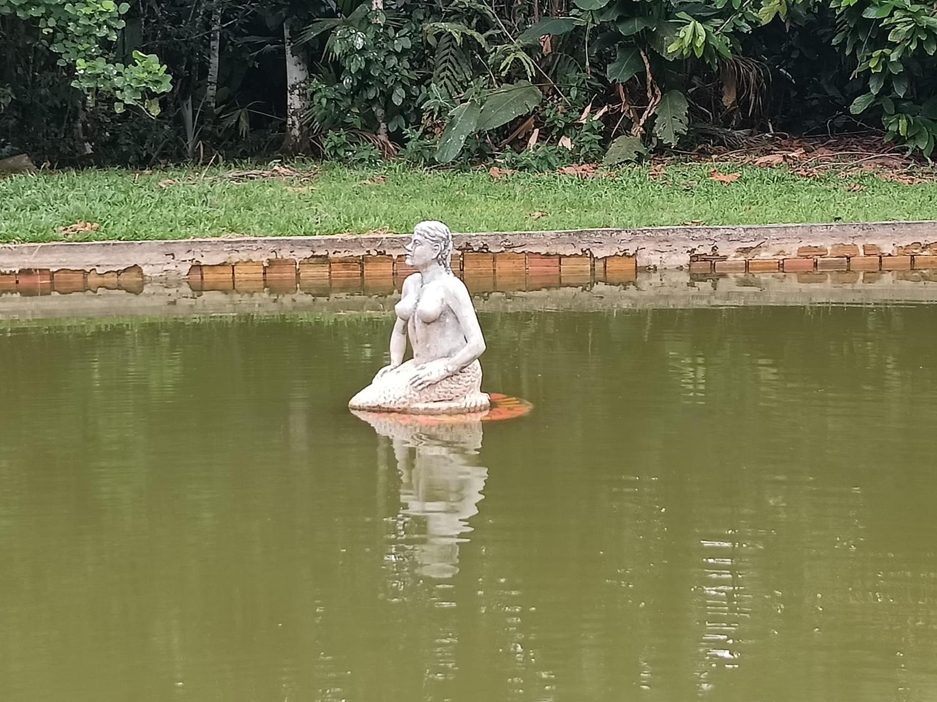 Ayatur iquitos